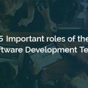 Software Development Team